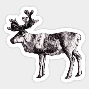 Reindeer Ink Drawing Sticker